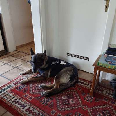 Was ist das?-Beitrag-Bild