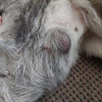 Was ist das?-Beitrag-Bild