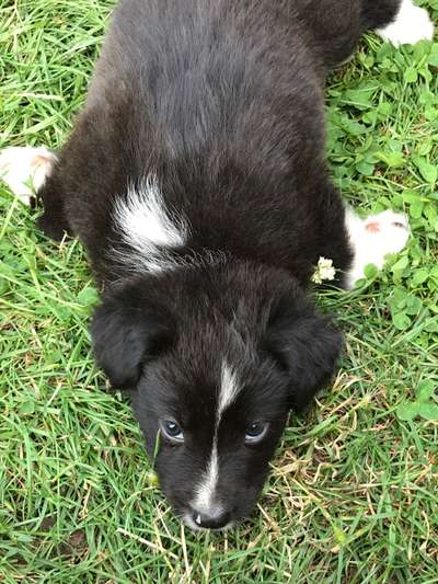 Sie werden so schnell erwachsen ...-Beitrag-Bild