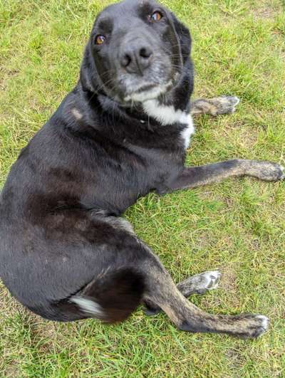 Lieblingsbild-Beitrag-Bild