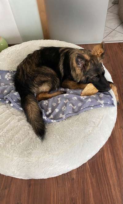 Erfahrung mit Wolkenbett-Beitrag-Bild