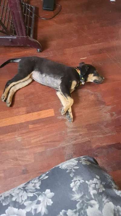 Kahler bauch und stiche/ekzeme-Beitrag-Bild