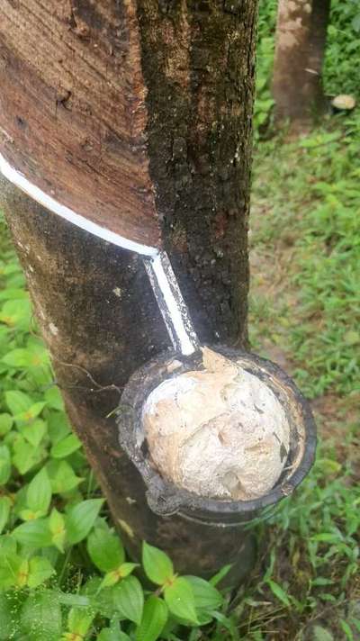 Kahler bauch und stiche/ekzeme-Beitrag-Bild