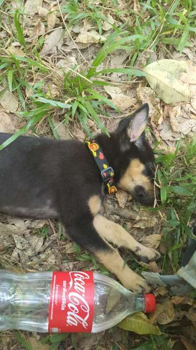 Kahler bauch und stiche/ekzeme-Beitrag-Bild