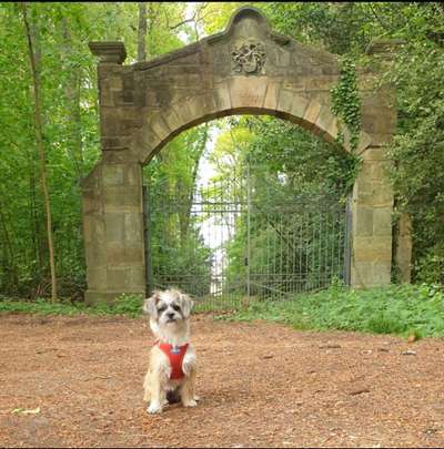 Hundeauslaufgebiet-Rüenberger Wald-Bild