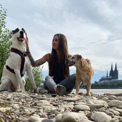 Hundetreffen-Spielpartner gesucht-Profilbild