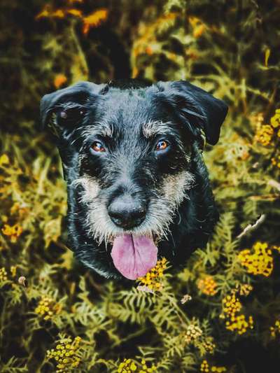 Fotochallenge Nr. 56 - geliebte Senioren-Beitrag-Bild