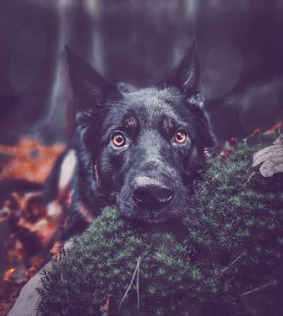 Lieblingsbild-Beitrag-Bild