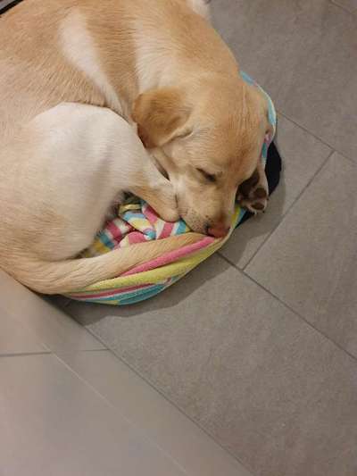 CHALLENGE NR. 34 - Liege-/Schlafpositionen-Beitrag-Bild