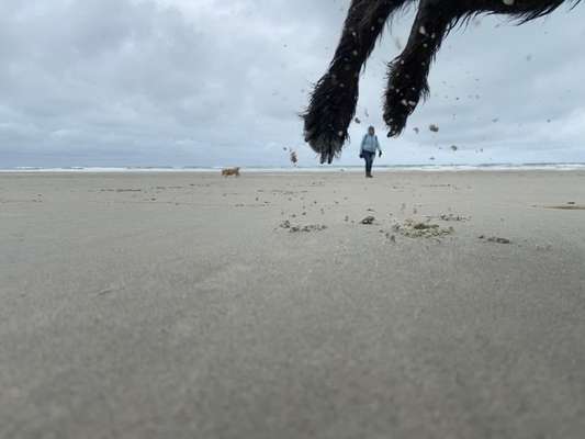 Fotochallenge Nr. 52 „Spring!“-Beitrag-Bild