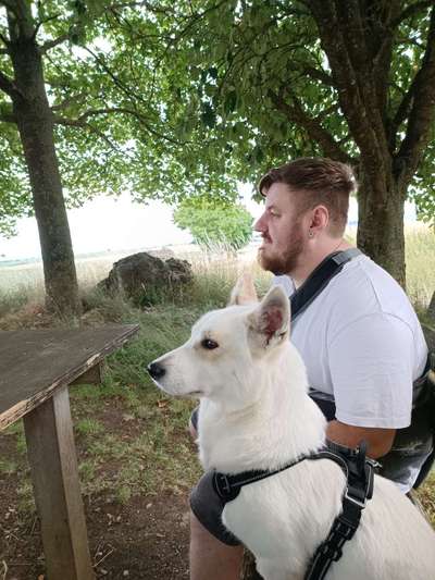 Theos  Fotochallenge Nummer 2-Beitrag-Bild