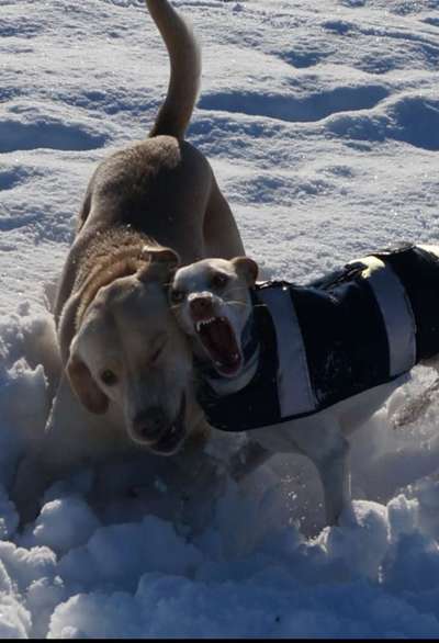 26. Handy Foto Challenge-Beitrag-Bild