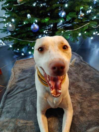 Fotochallange 84-Beitrag-Bild