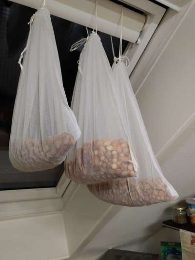 Heute gibt es.....der "ich mach die Leckerlis-Selber-Thread"-Beitrag-Bild