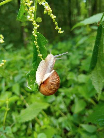 Die wunderschöne Welt mit Hund.-Beitrag-Bild