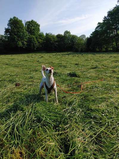 FOTOCHALLENGE 86-Beitrag-Bild