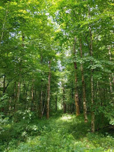 Die wunderschöne Welt mit Hund.-Beitrag-Bild