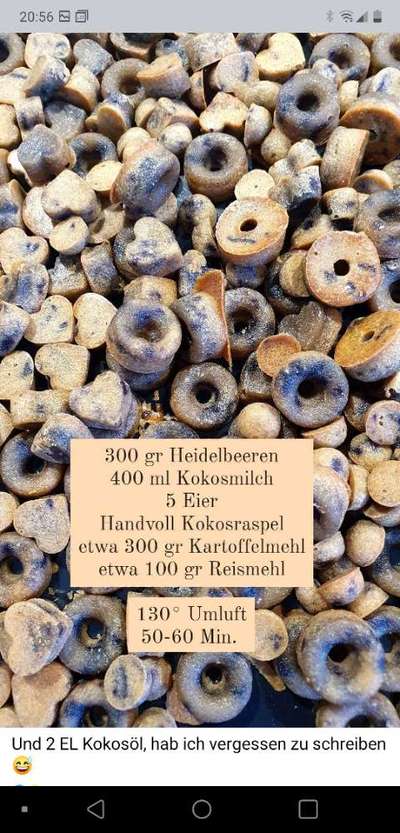 Heute gibt es.....der "ich mach die Leckerlis-Selber-Thread"-Beitrag-Bild