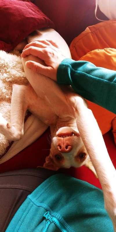 Lieblings Schnappschuss?-Beitrag-Bild