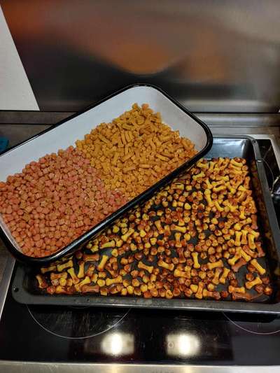 Heute gibt es.....der "ich mach die Leckerlis-Selber-Thread"-Beitrag-Bild