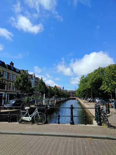 Die wunderschöne Welt mit Hund.-Beitrag-Bild