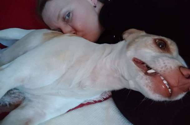 Die lustigsten Selfies mit Deinem Hund !-Beitrag-Bild