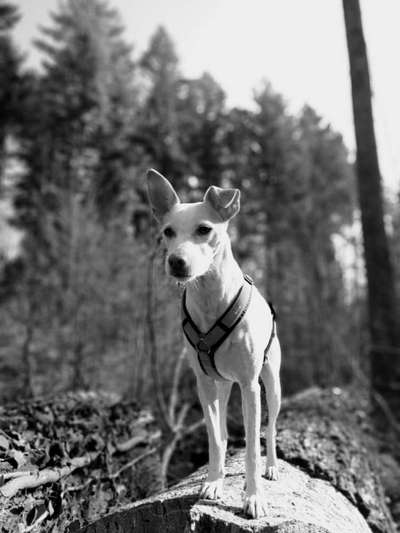 Foto-Challenge 76: Foto in Schwarz-Weiss-Beitrag-Bild