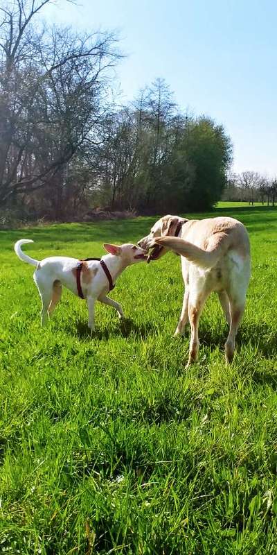 Challenge 30  Freundschaft-Beitrag-Bild