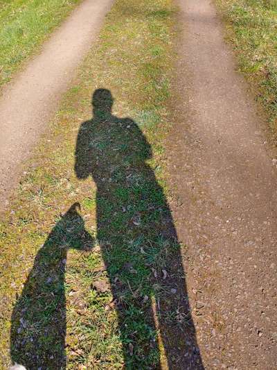 Fotochallange Nr. 46

Schattenspiele BEENDET!!!!!-Beitrag-Bild