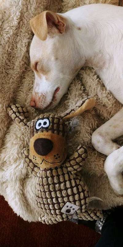 Lieblings Schnappschuss?-Beitrag-Bild