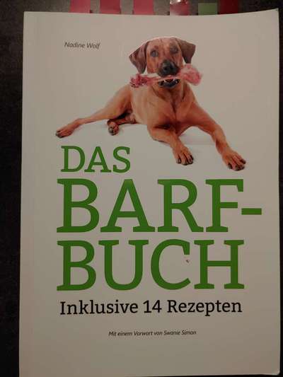 Barfen-Beitrag-Bild