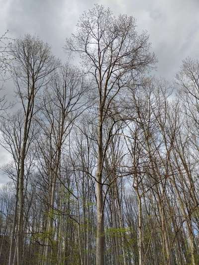 Die wunderschöne Welt mit Hund.-Beitrag-Bild