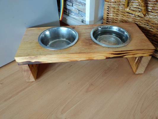 Hundebar - Futterbar-Beitrag-Bild