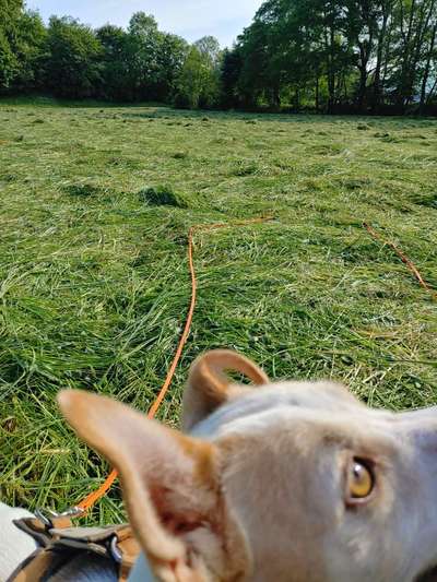 Un...scharf Bilder-Beitrag-Bild