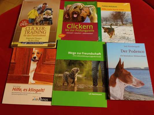 Hunde-Fachliteratur-Beitrag-Bild
