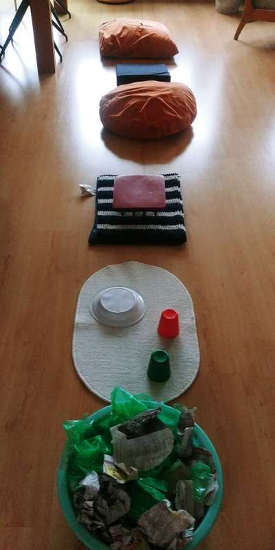 DIY Spiele & Training für Zuhause-Beitrag-Bild