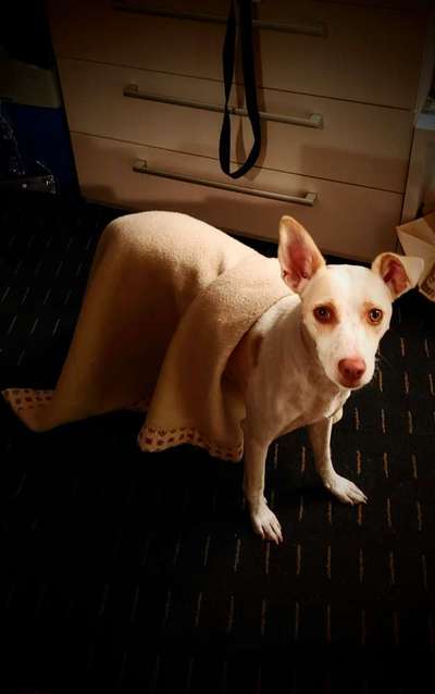 Fotochallenge No. 5-Beitrag-Bild