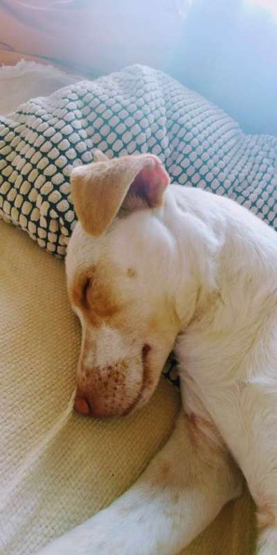 Foto Challenge 82-Beitrag-Bild