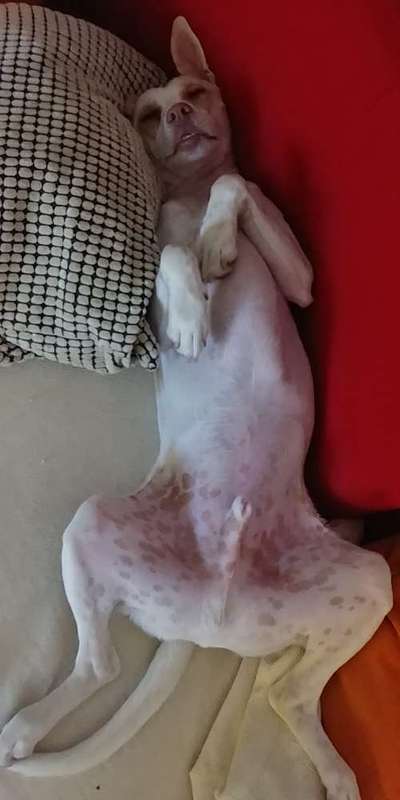 CHALLENGE NR. 34 - Liege-/Schlafpositionen-Beitrag-Bild