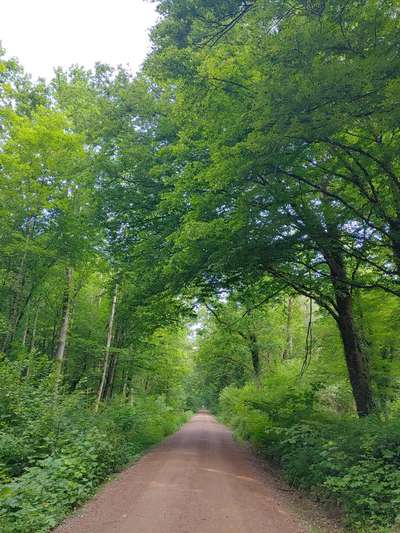 Die wunderschöne Welt mit Hund.-Beitrag-Bild