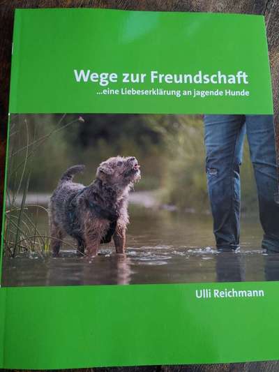 Podencomischling oder Podenco-Beitrag-Bild