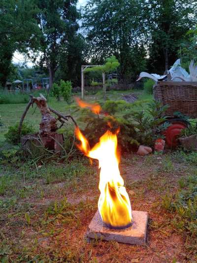 Die wunderschöne Welt mit Hund.-Beitrag-Bild