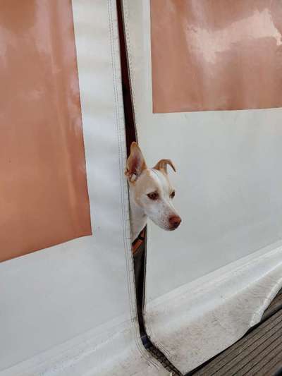 Fotochallenge Nr.100 Urlaubsimpressionen-Beitrag-Bild