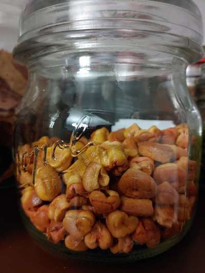 Heute gibt es.....der "ich mach die Leckerlis-Selber-Thread"-Beitrag-Bild