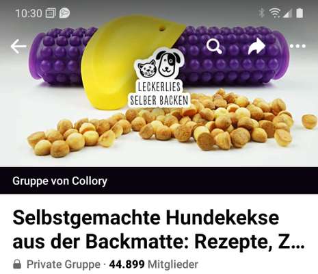 Heute gibt es.....der "ich mach die Leckerlis-Selber-Thread"-Beitrag-Bild