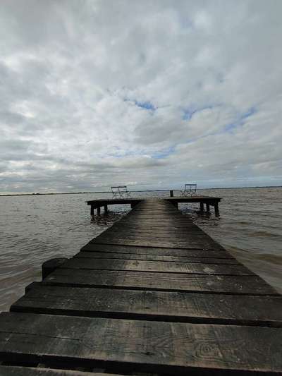 Die wunderschöne Welt mit Hund.-Beitrag-Bild