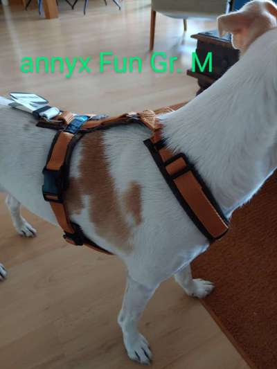 Geschirrauswahl-Beitrag-Bild