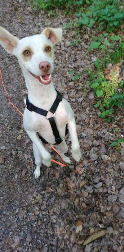 Immer lächeln !-Beitrag-Bild