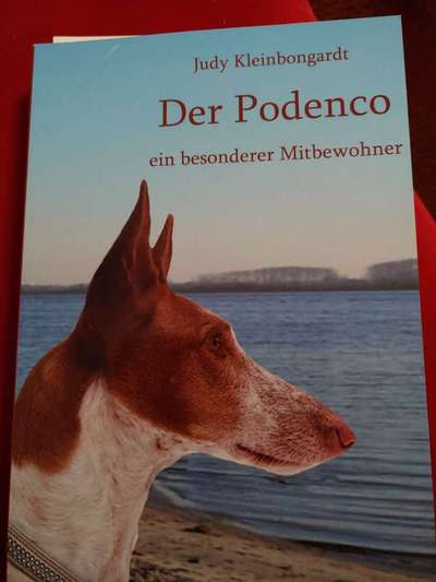 Hund geht nicht aus der Wohnung-Beitrag-Bild