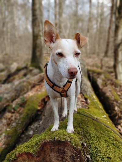 Foto Challenge Nr. 79-Beitrag-Bild